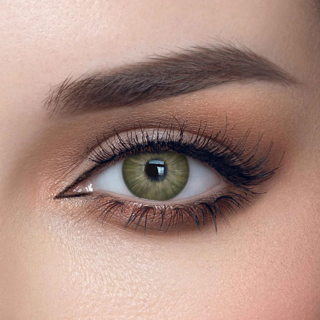 Solenza Dusk Taupe Yearly Lenses, a pair of soft contact lenses in a taupe color.