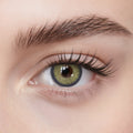 Solenza Navy Honey 1 Yearly Lenses (Yellow Brown)