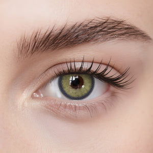 Solenza Navy Honey 1 Yearly Lenses (Yellow Brown)