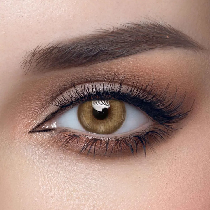 Solenza Roman Brown Color Contact Lenses