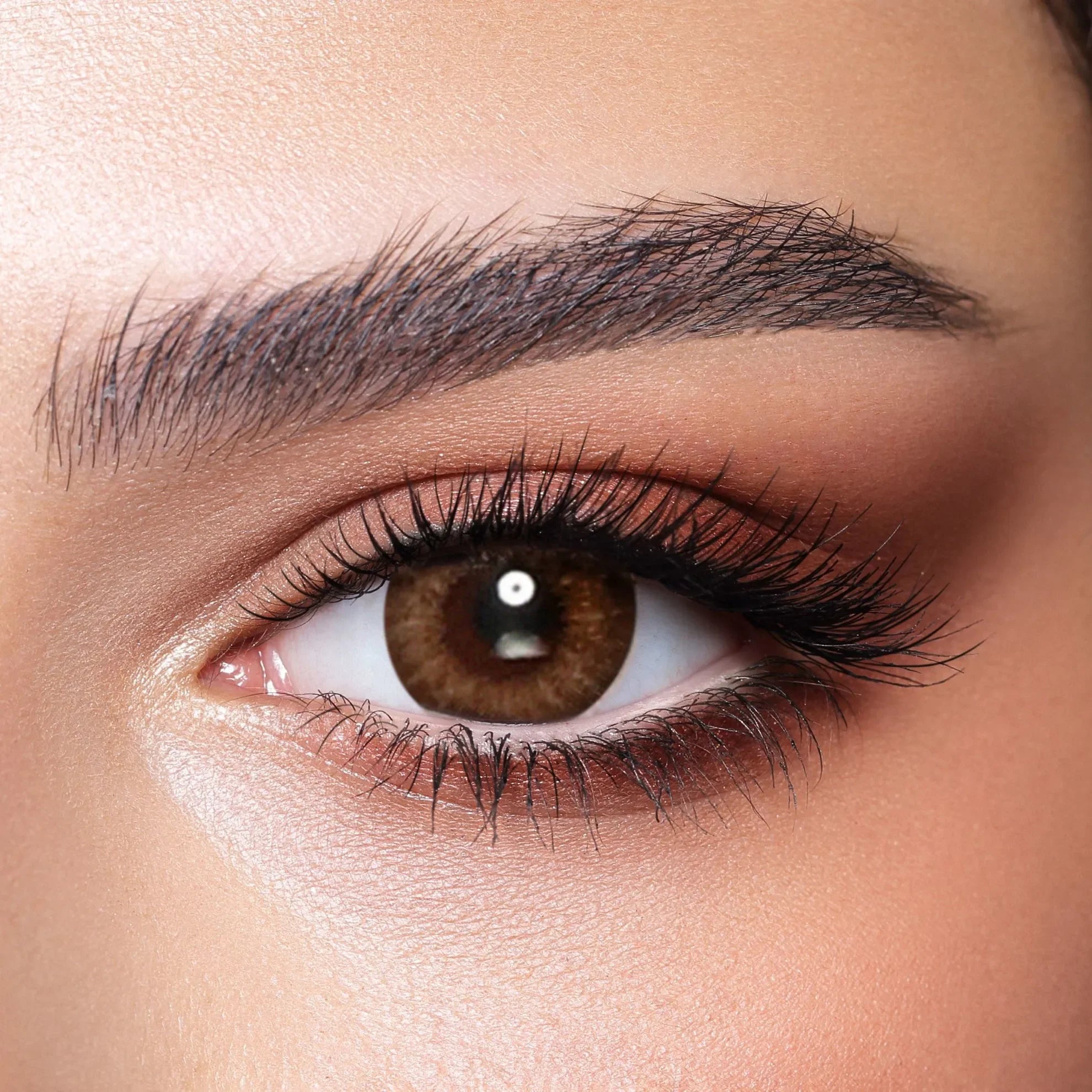 Bella One Day Almond Brown Lenses: Close-up of a single brown contact lens with a subtle almond pattern.