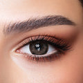 Bella One Day Ash Brown Lenses in a clear plastic case on a white background.