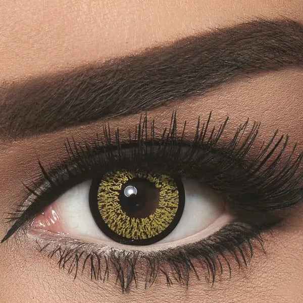 Bella Highlight Gold Lenses