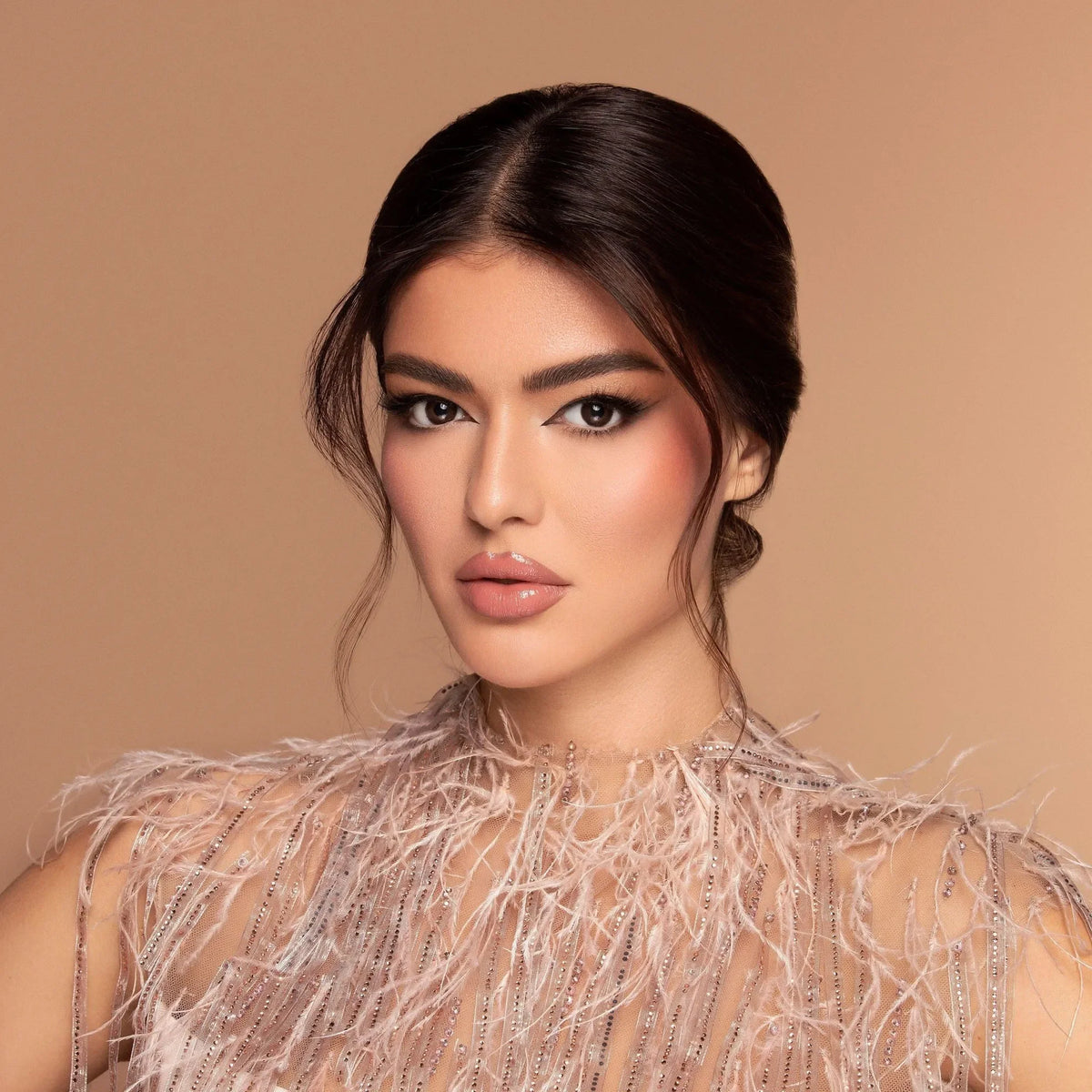 Bella One Day Cedar Lenses
