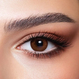 Bella Elite Cinnamon Brown Lenses in a clear case, showcasing their warm, hazel-brown hue.