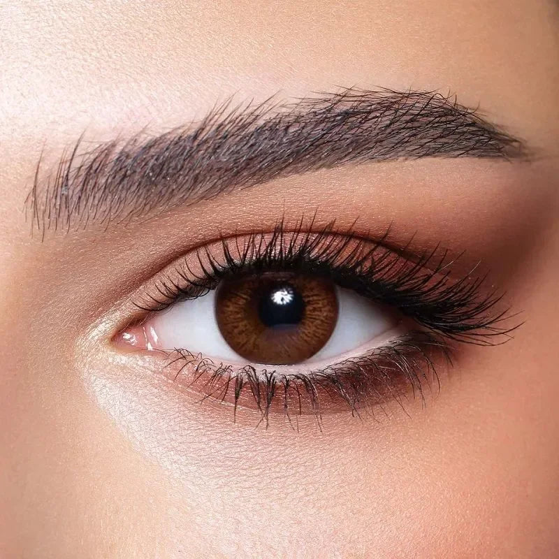 Bella Elite Cinnamon Brown Lenses in a clear case, showcasing their warm, hazel-brown hue.