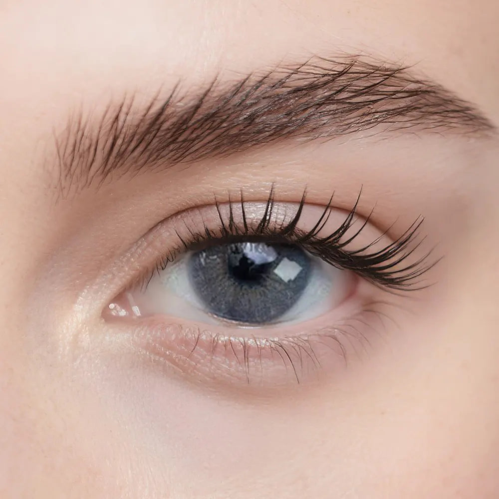 Hidrocor Graphite Color Contact Lenses