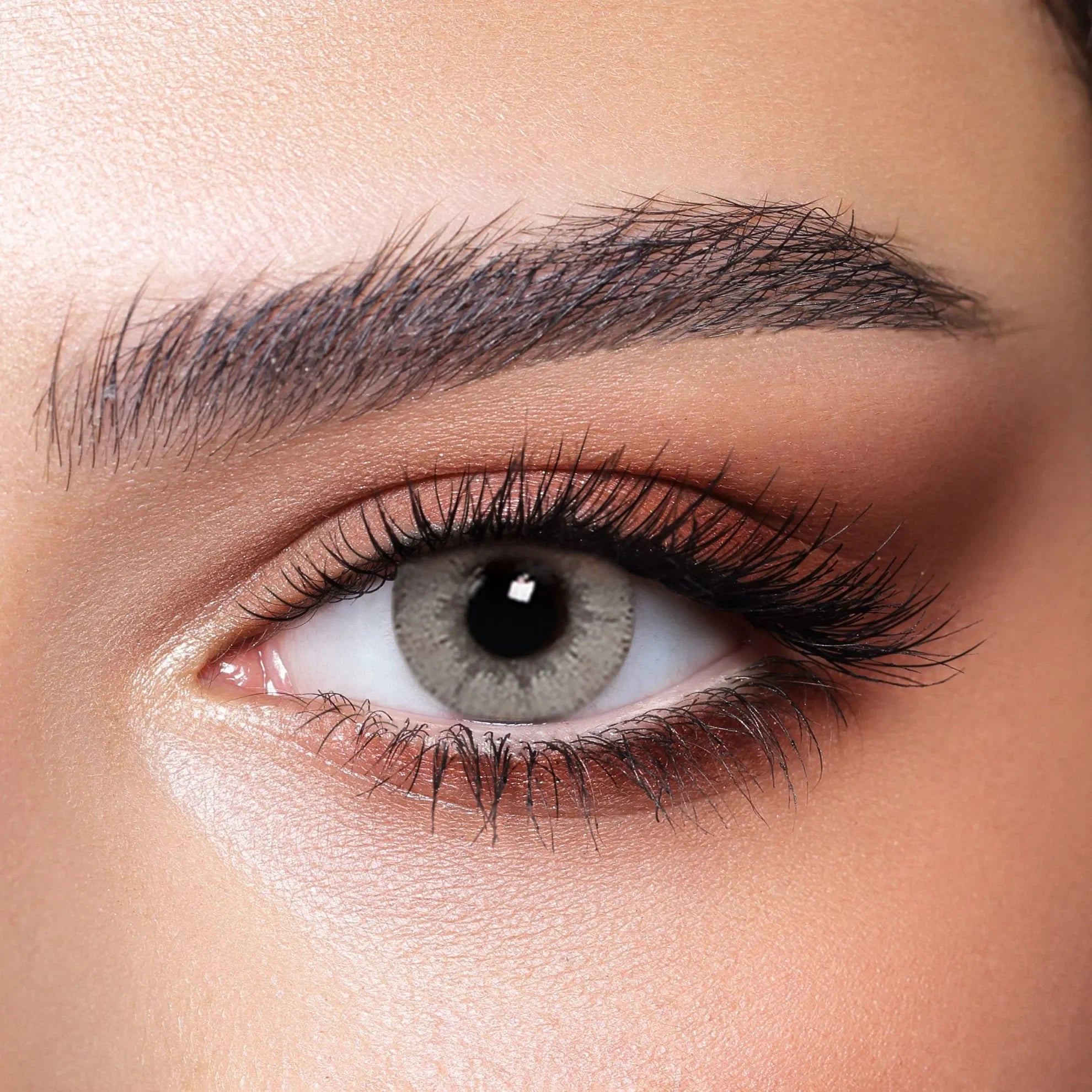 Bella Glow Gray Caramel Lenses