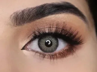Solenza Silk Gray Color Contact Lenses
