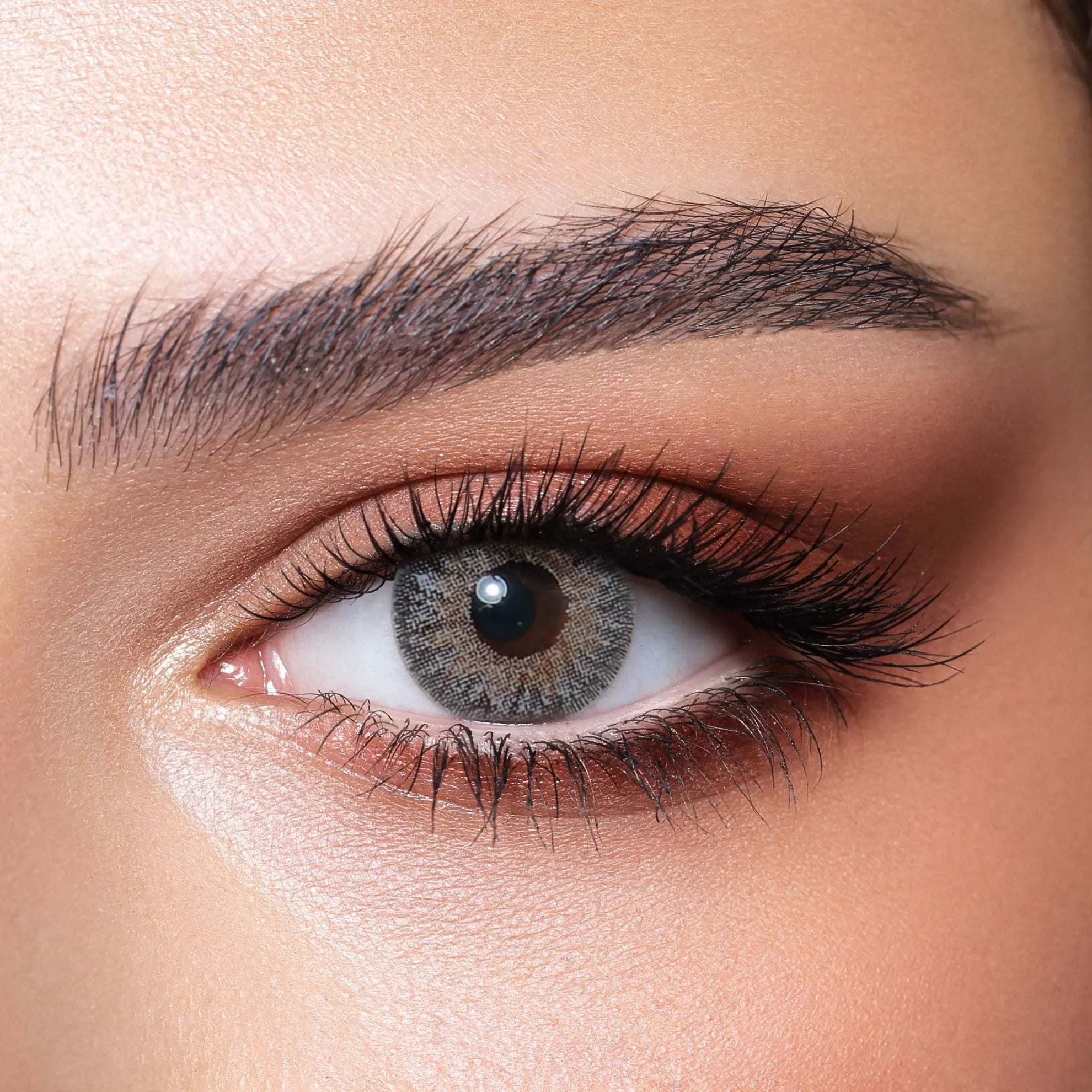 Bella Natural Cool Gray Lenses