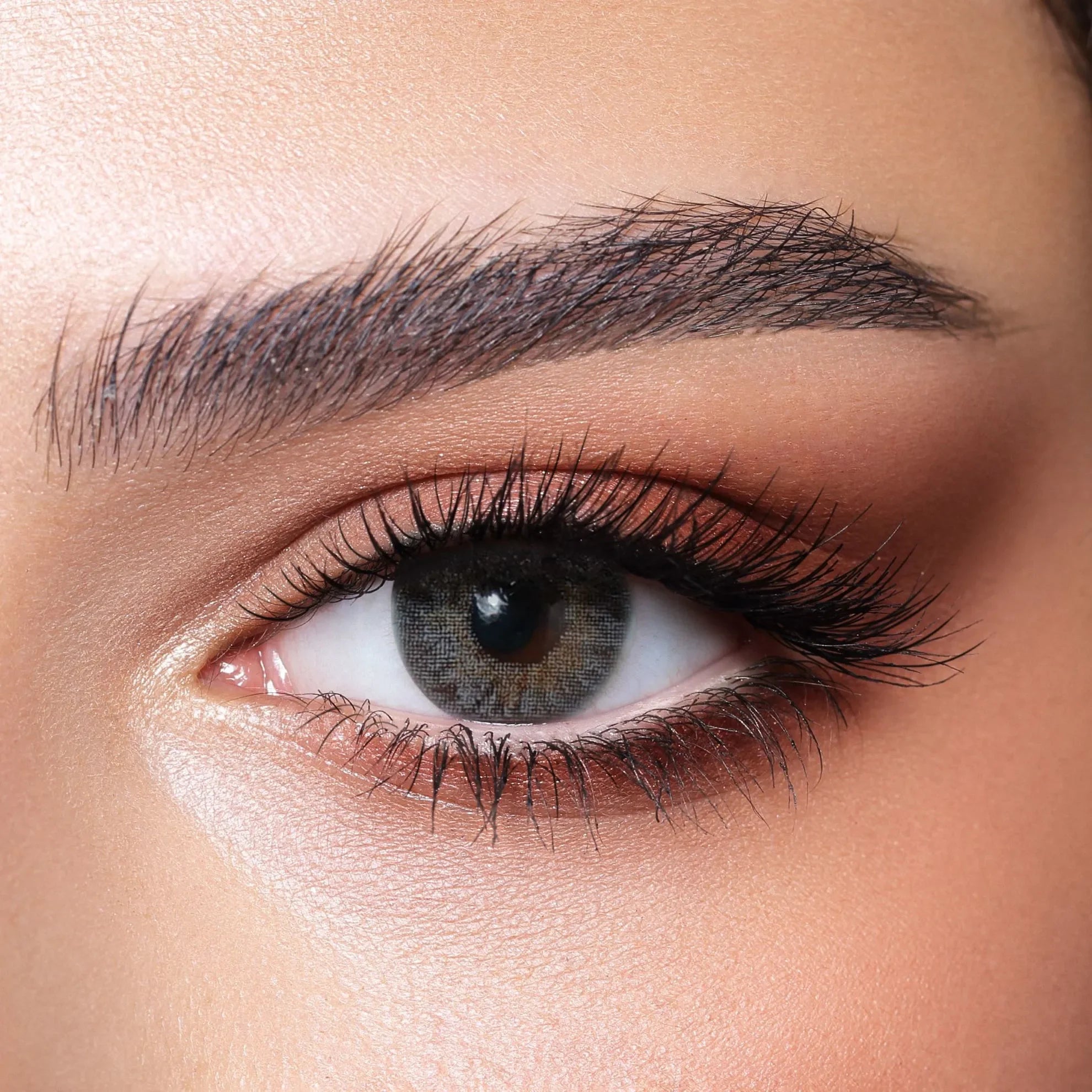 Bella Natural Gray Lenses