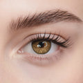 Siri Brown | 1 Yearly Lenses
