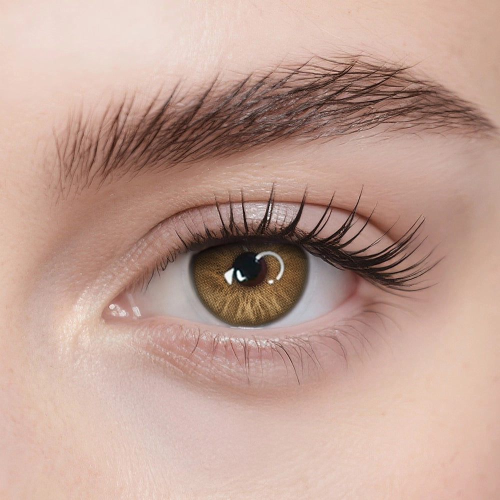 Siri Brown | 1 Yearly Lenses